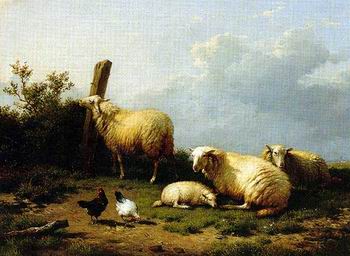 Sheep 070